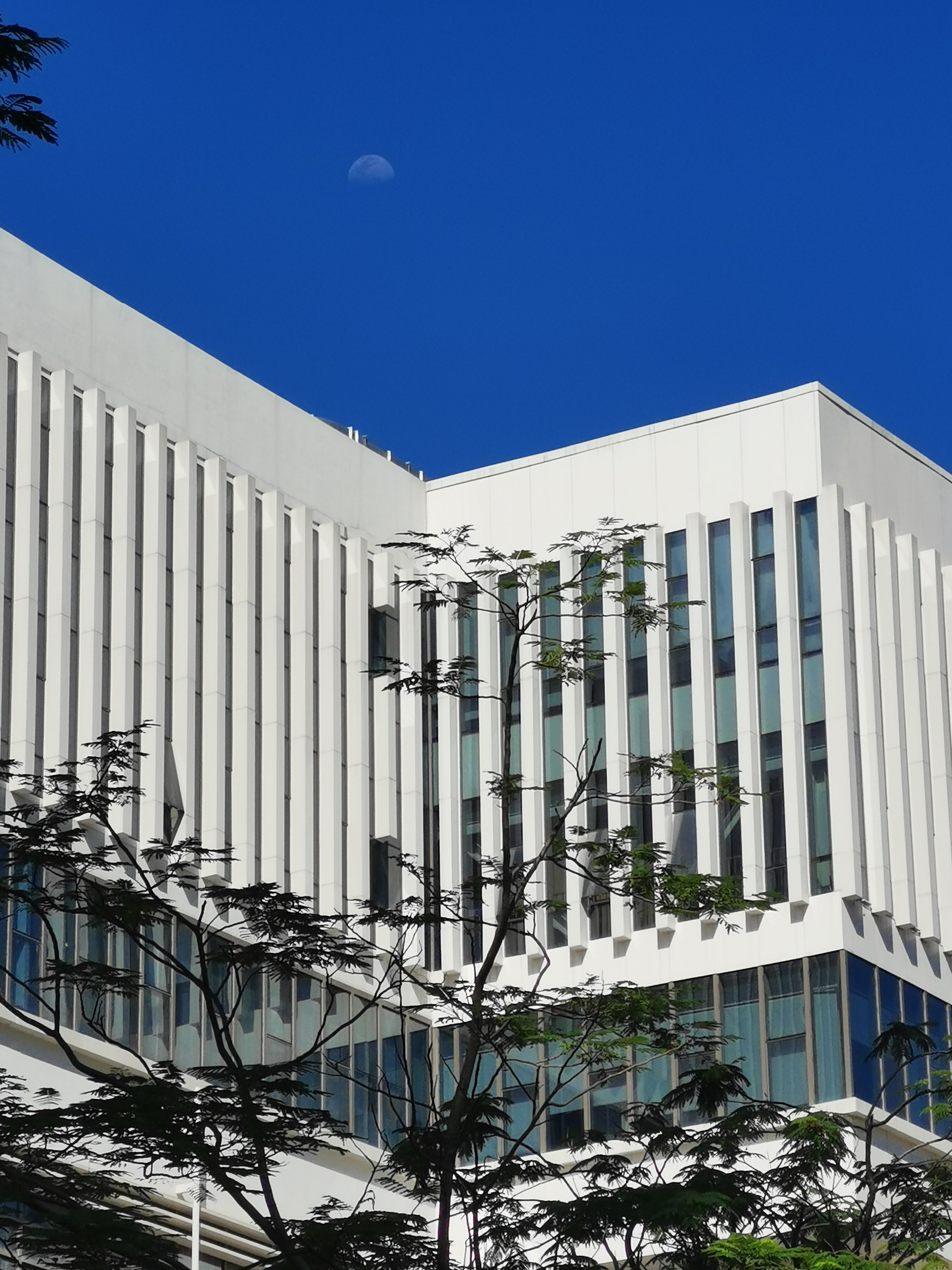 百家乐玩法介绍 - 百家乐技巧