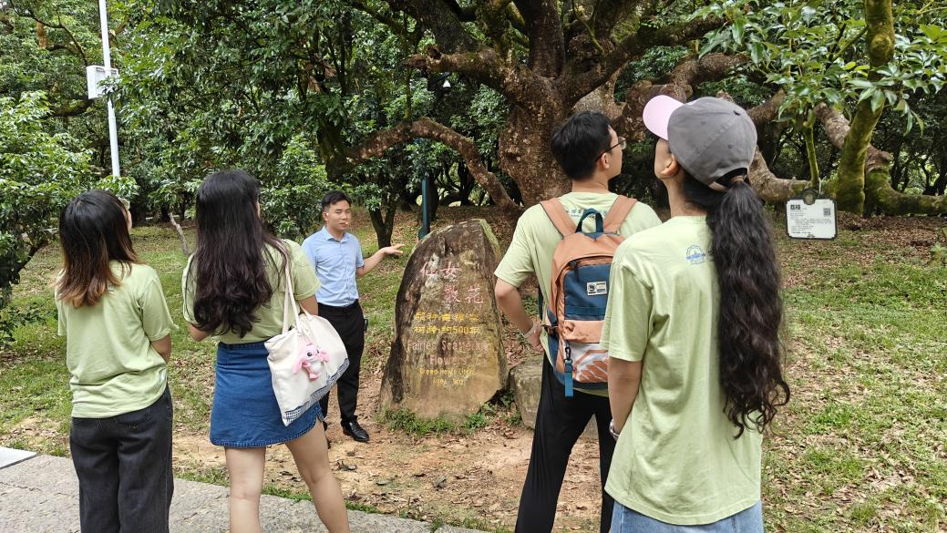 百家乐玩法介绍 - 百家乐技巧