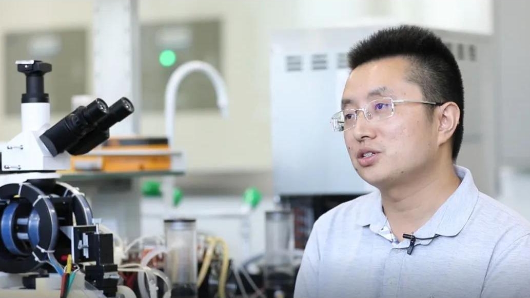 百家乐玩法介绍 - 百家乐技巧