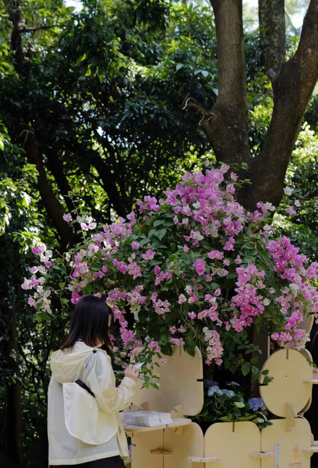 1763082641286013849.jpg 百家乐玩法介绍 - 百家乐技巧