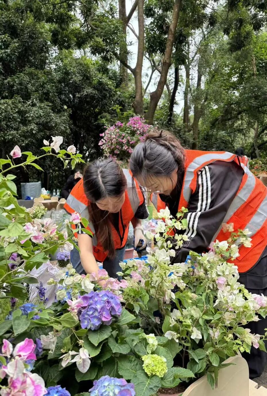 1763082641288052756.jpg 百家乐玩法介绍 - 百家乐技巧