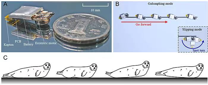 百家乐玩法介绍 - 百家乐技巧