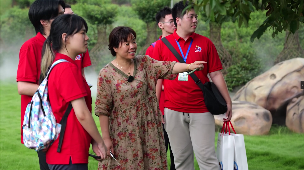 百家乐玩法介绍 - 百家乐技巧