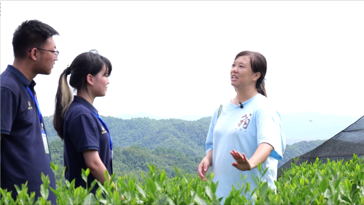 百家乐玩法介绍 - 百家乐技巧