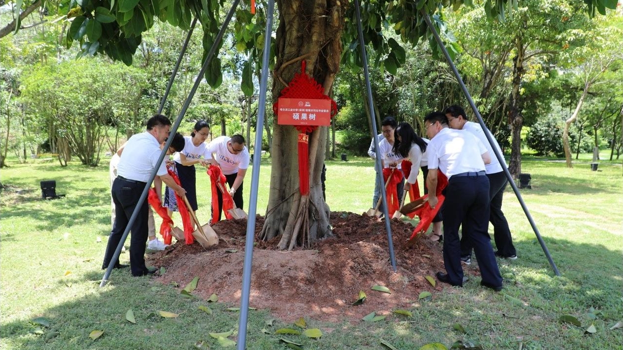 百家乐玩法介绍 - 百家乐技巧