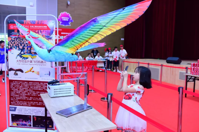 百家乐玩法介绍 - 百家乐技巧