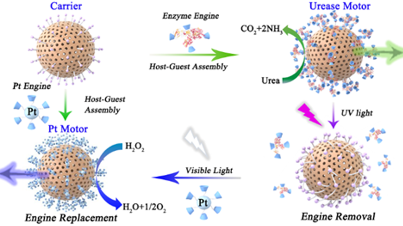 百家乐玩法介绍 - 百家乐技巧