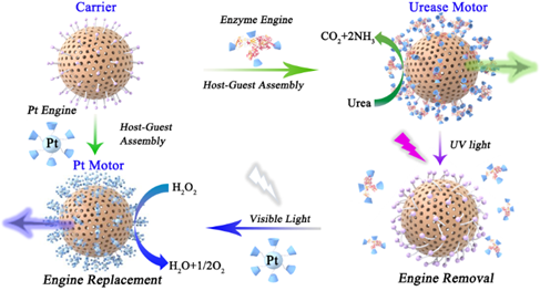 百家乐玩法介绍 - 百家乐技巧