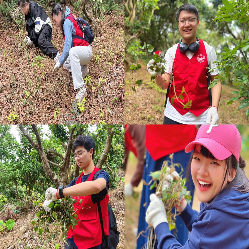 百家乐玩法介绍 - 百家乐技巧