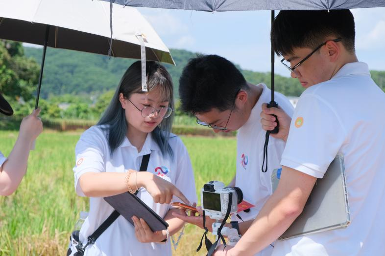 百家乐玩法介绍 - 百家乐技巧