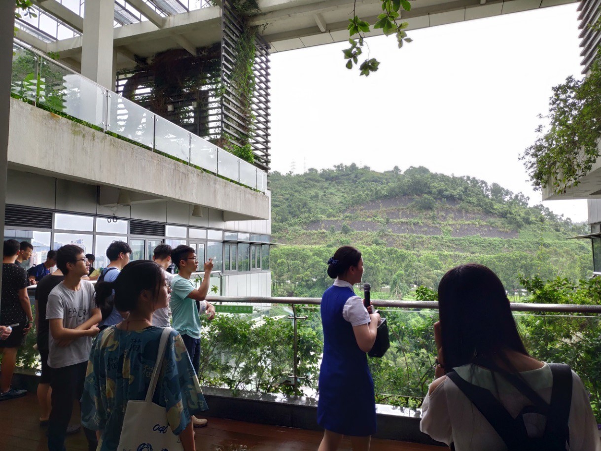 百家乐玩法介绍 - 百家乐技巧