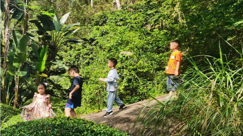 百家乐玩法介绍 - 百家乐技巧