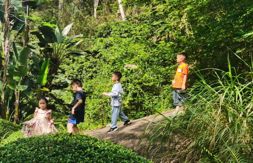 百家乐玩法介绍 - 百家乐技巧