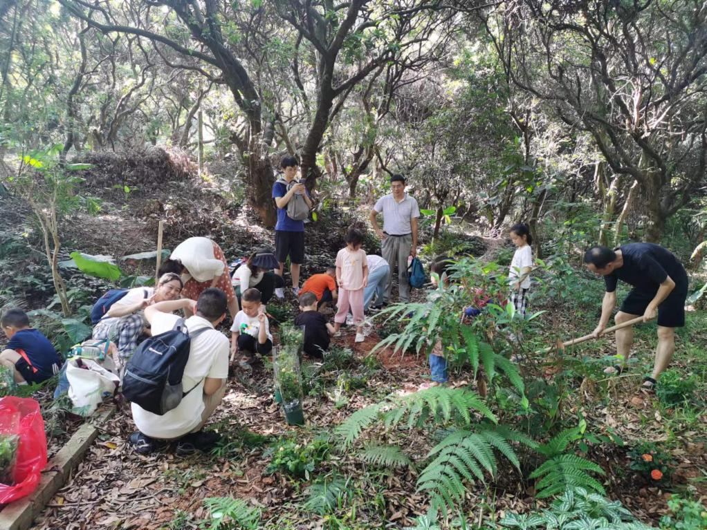 百家乐玩法介绍 - 百家乐技巧