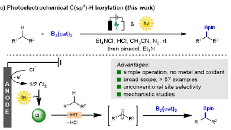 百家乐玩法介绍 - 百家乐技巧