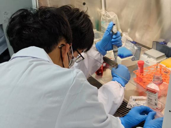 百家乐玩法介绍 - 百家乐技巧