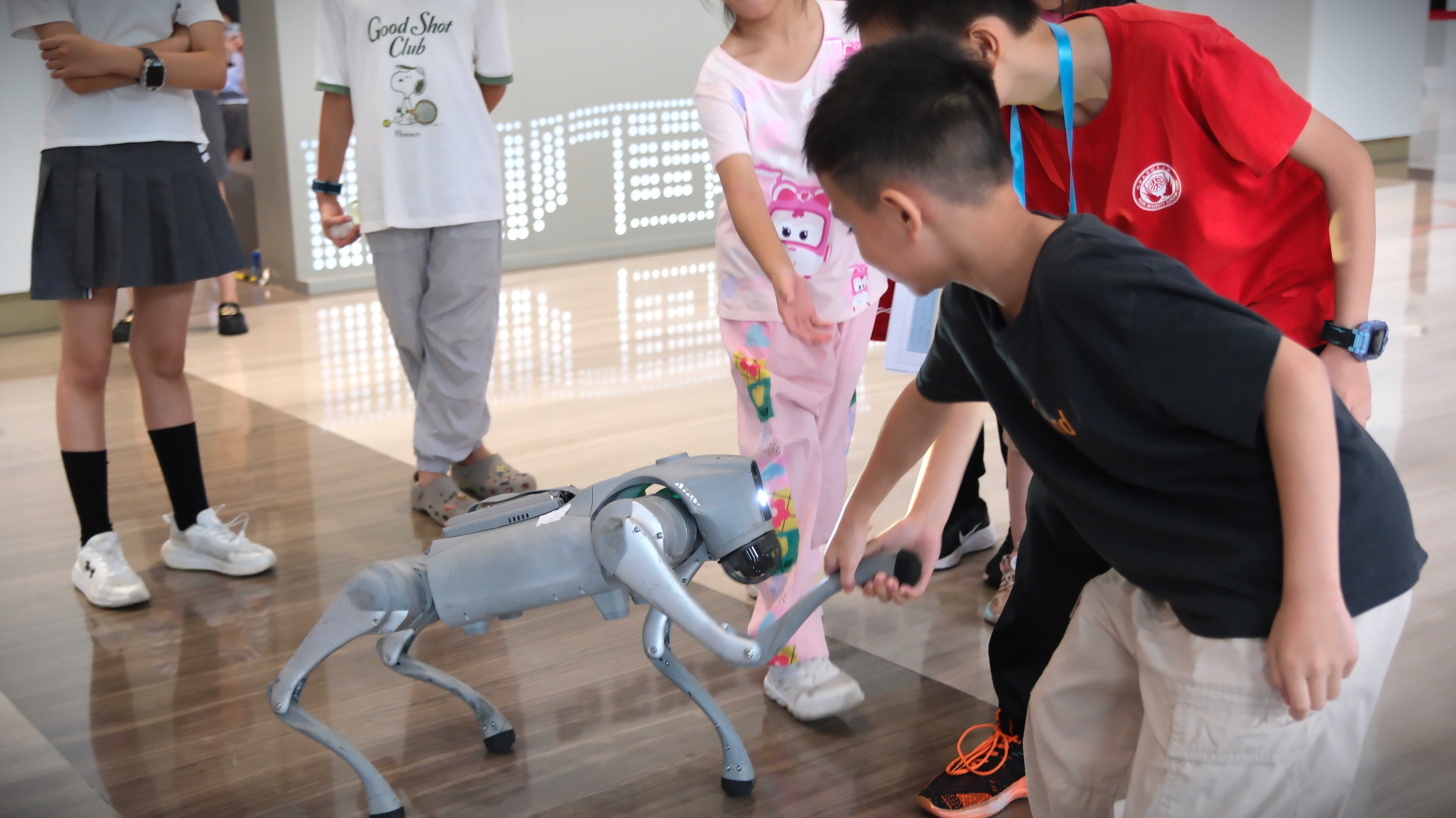 百家乐玩法介绍 - 百家乐技巧