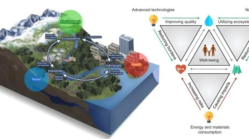 百家乐玩法介绍 - 百家乐技巧