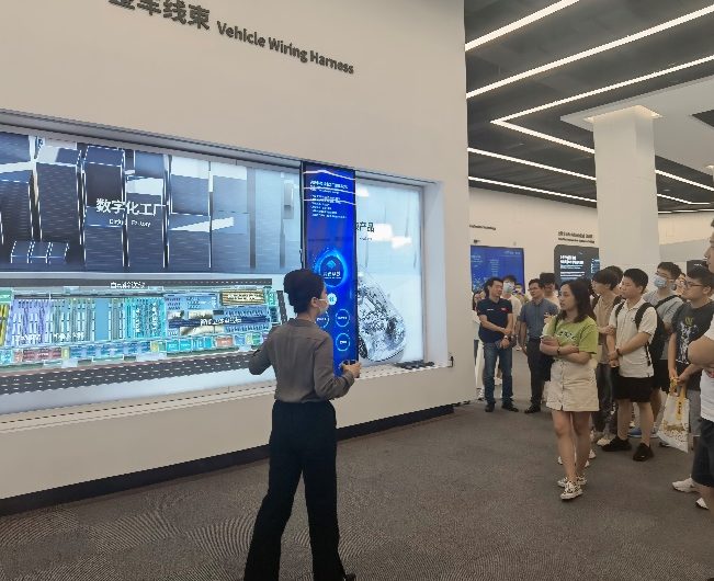 百家乐玩法介绍 - 百家乐技巧