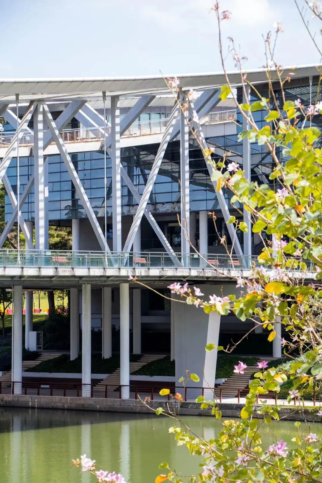 百家乐玩法介绍 - 百家乐技巧