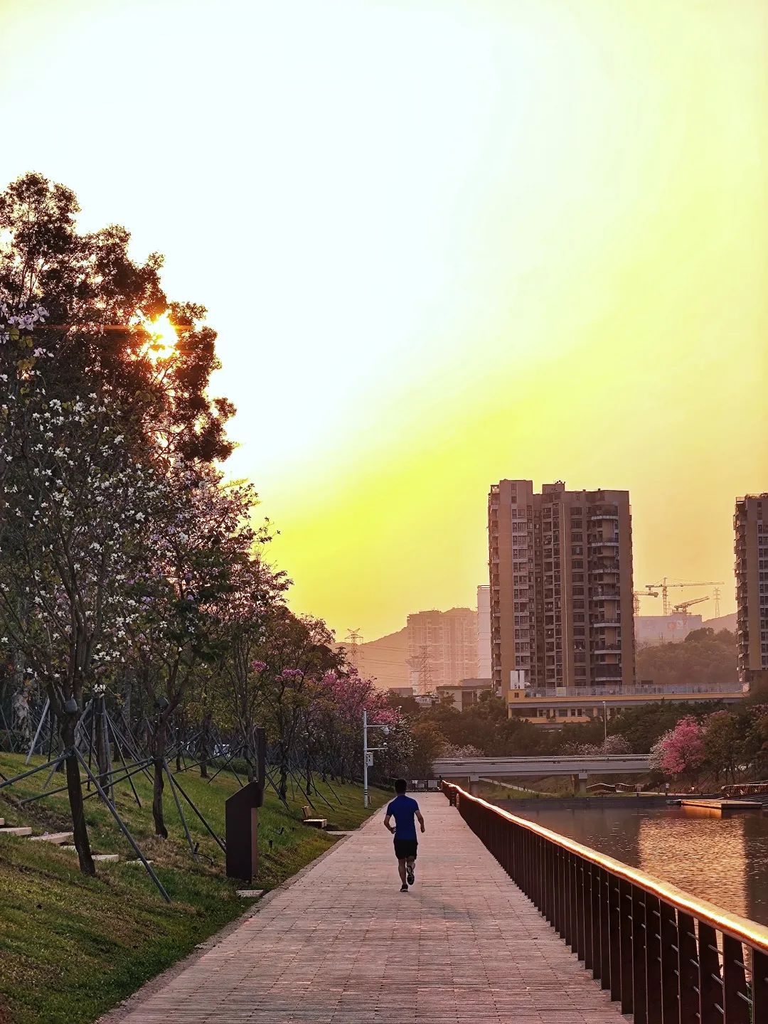 百家乐玩法介绍 - 百家乐技巧