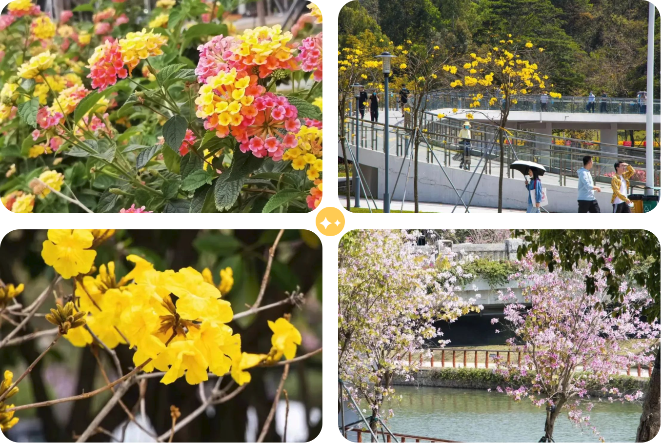 百家乐玩法介绍 - 百家乐技巧