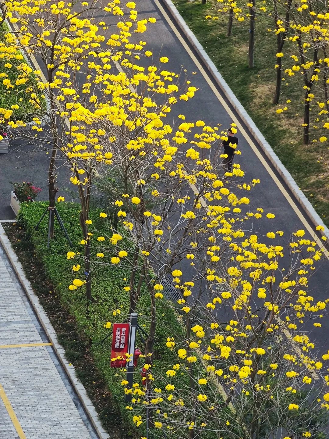 百家乐玩法介绍 - 百家乐技巧