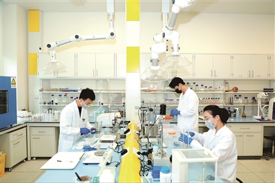 百家乐玩法介绍 - 百家乐技巧