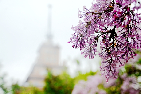 百家乐玩法介绍 - 百家乐技巧