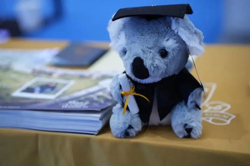 百家乐玩法介绍 - 百家乐技巧