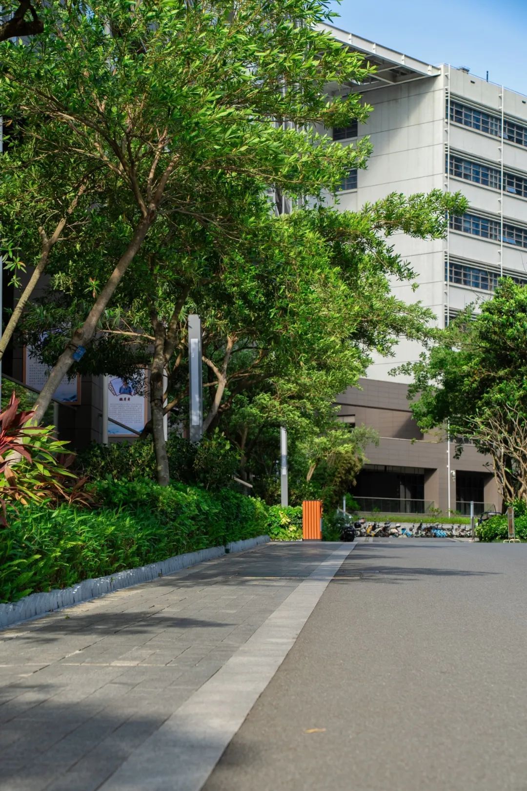 百家乐玩法介绍 - 百家乐技巧