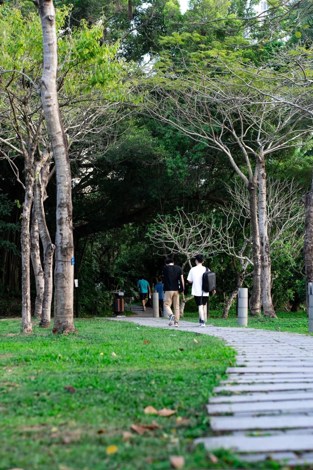 百家乐玩法介绍 - 百家乐技巧