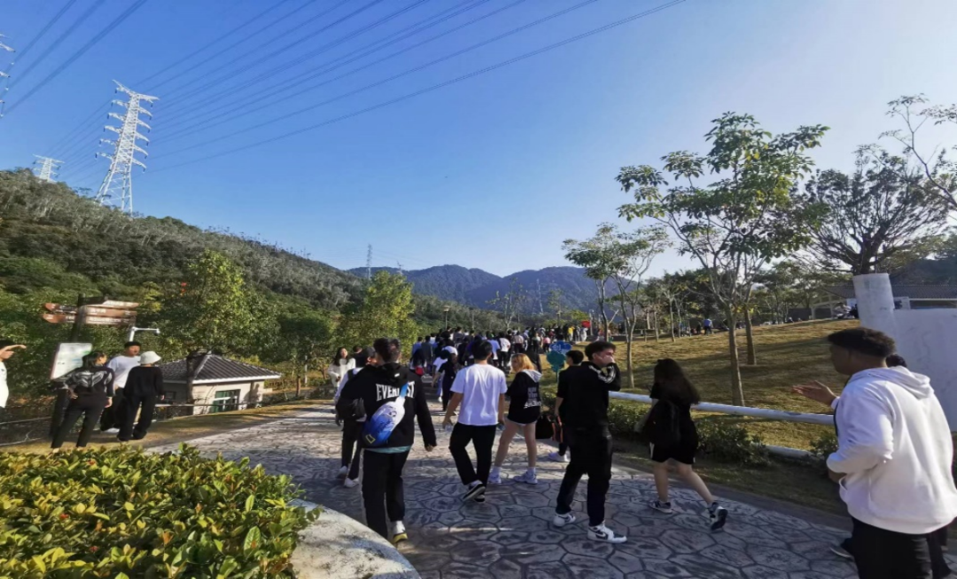 百家乐玩法介绍 - 百家乐技巧