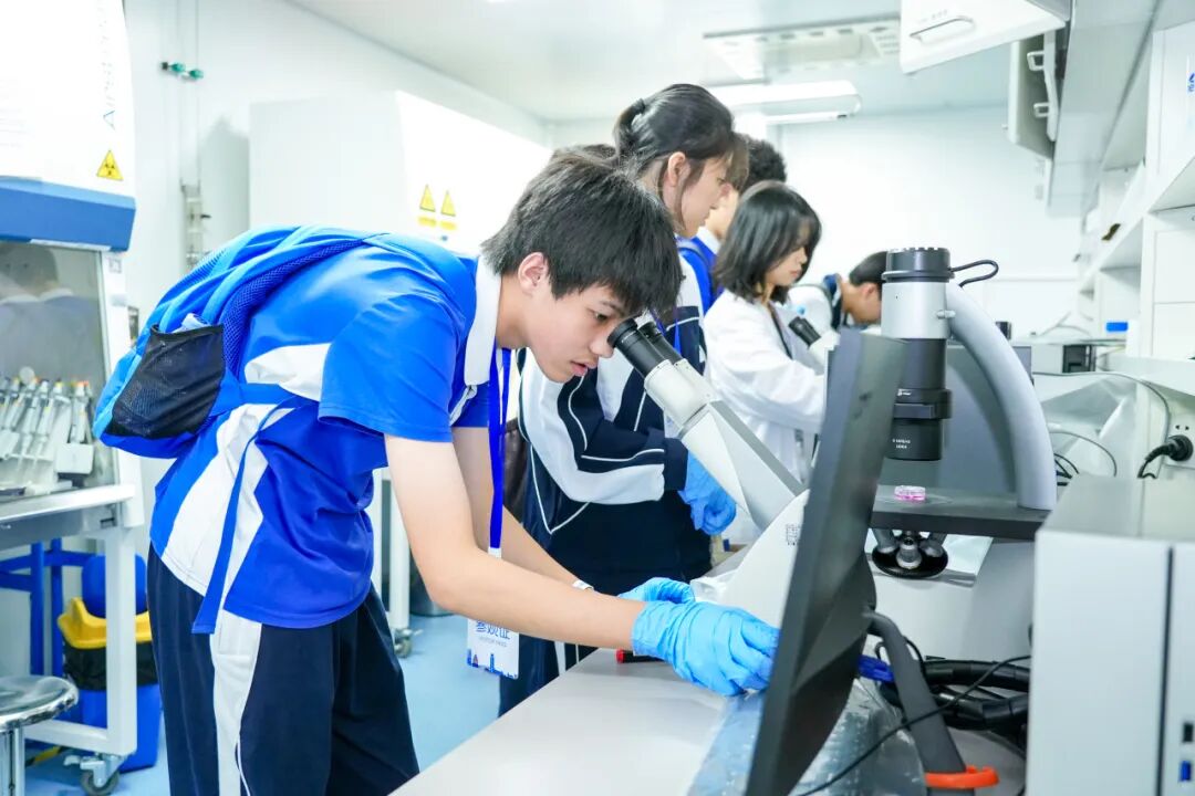 百家乐玩法介绍 - 百家乐技巧