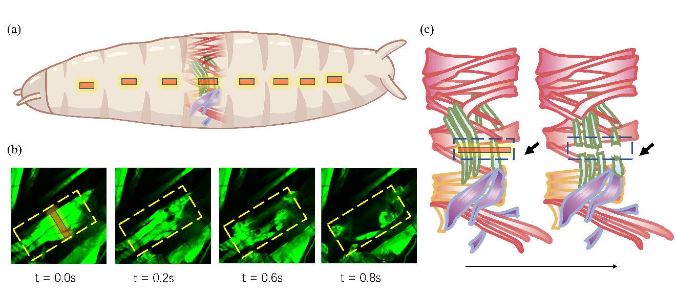 百家乐玩法介绍 - 百家乐技巧