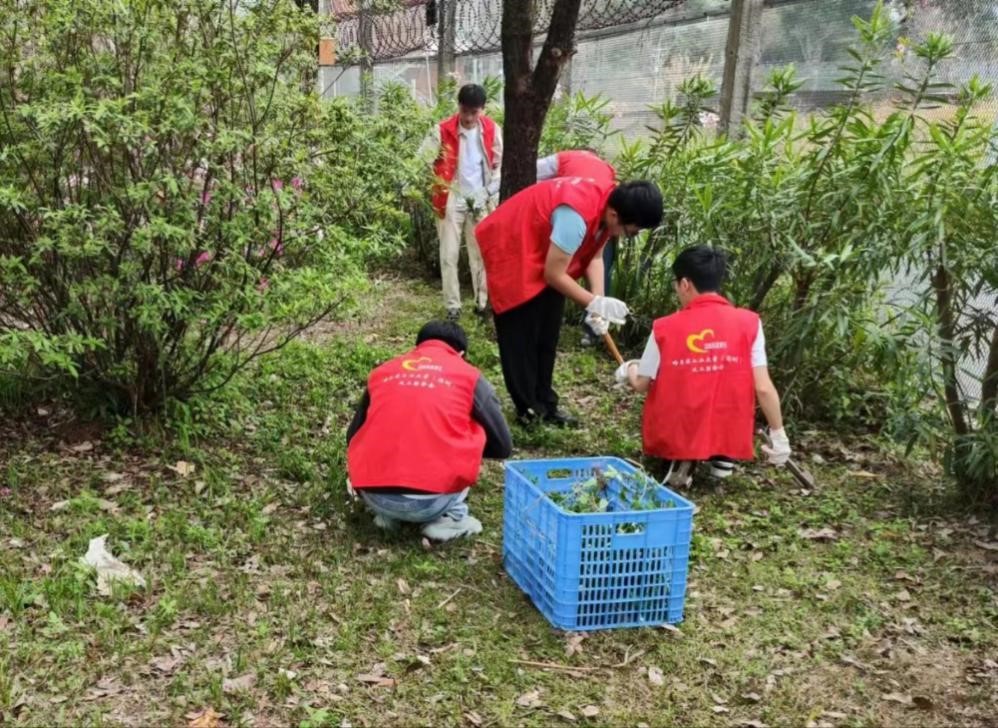 百家乐玩法介绍 - 百家乐技巧