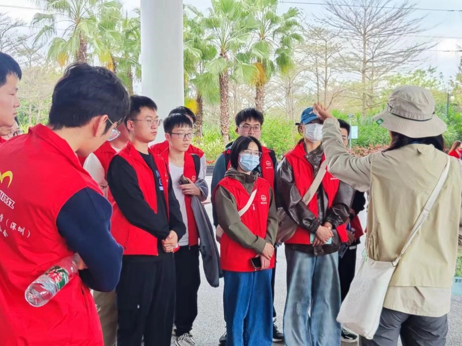 百家乐玩法介绍 - 百家乐技巧