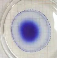 1715044963494028224.jpg 百家乐玩法介绍 - 百家乐技巧