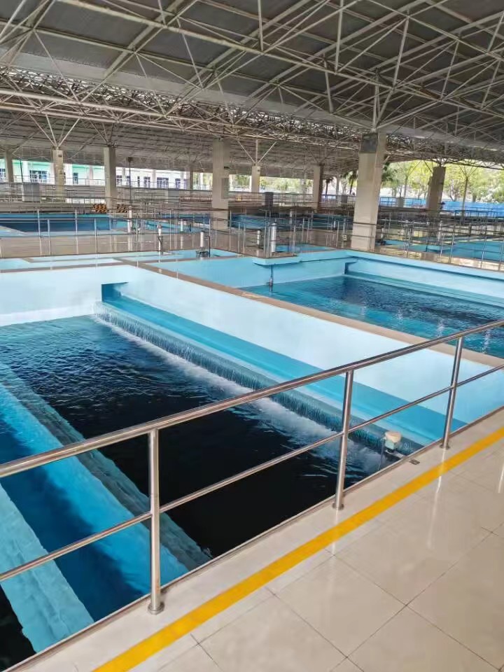 百家乐玩法介绍 - 百家乐技巧