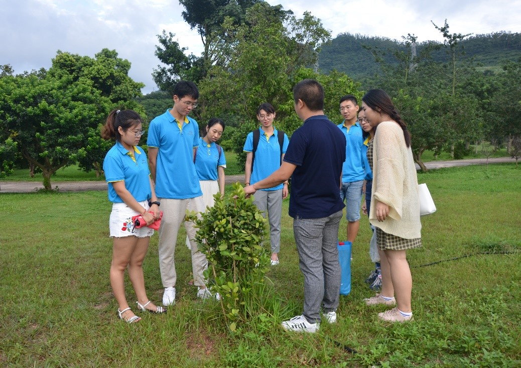 百家乐玩法介绍 - 百家乐技巧