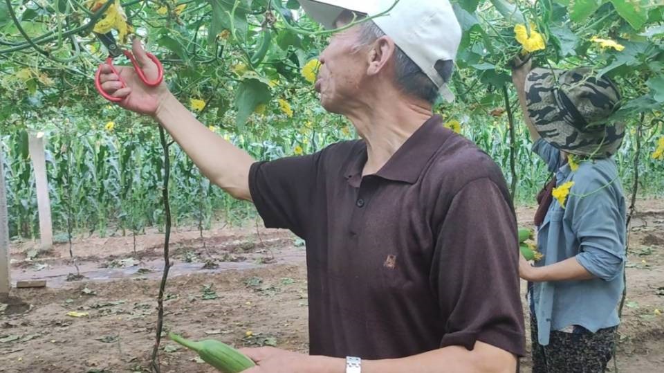 百家乐玩法介绍 - 百家乐技巧