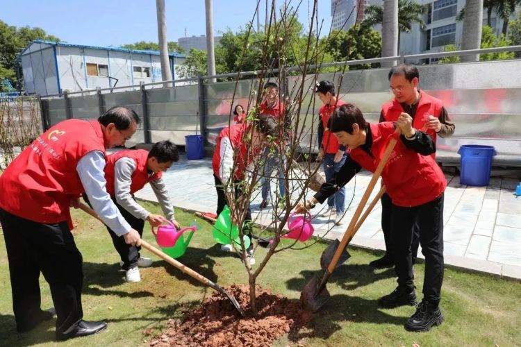 百家乐玩法介绍 - 百家乐技巧