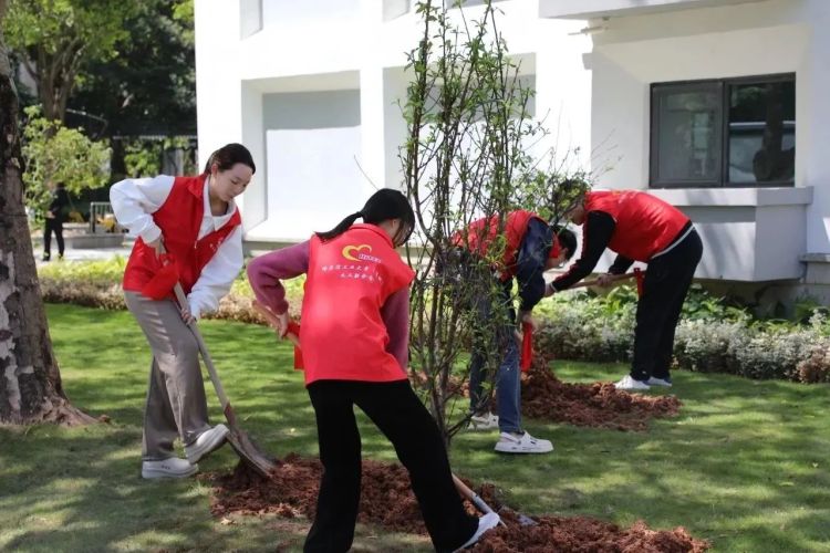 百家乐玩法介绍 - 百家乐技巧