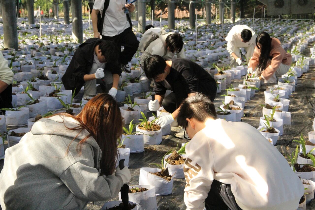 百家乐玩法介绍 - 百家乐技巧