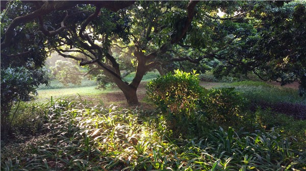 百家乐玩法介绍 - 百家乐技巧