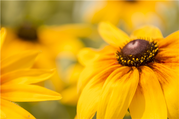 百家乐玩法介绍 - 百家乐技巧