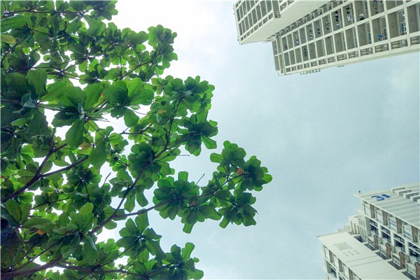 百家乐玩法介绍 - 百家乐技巧