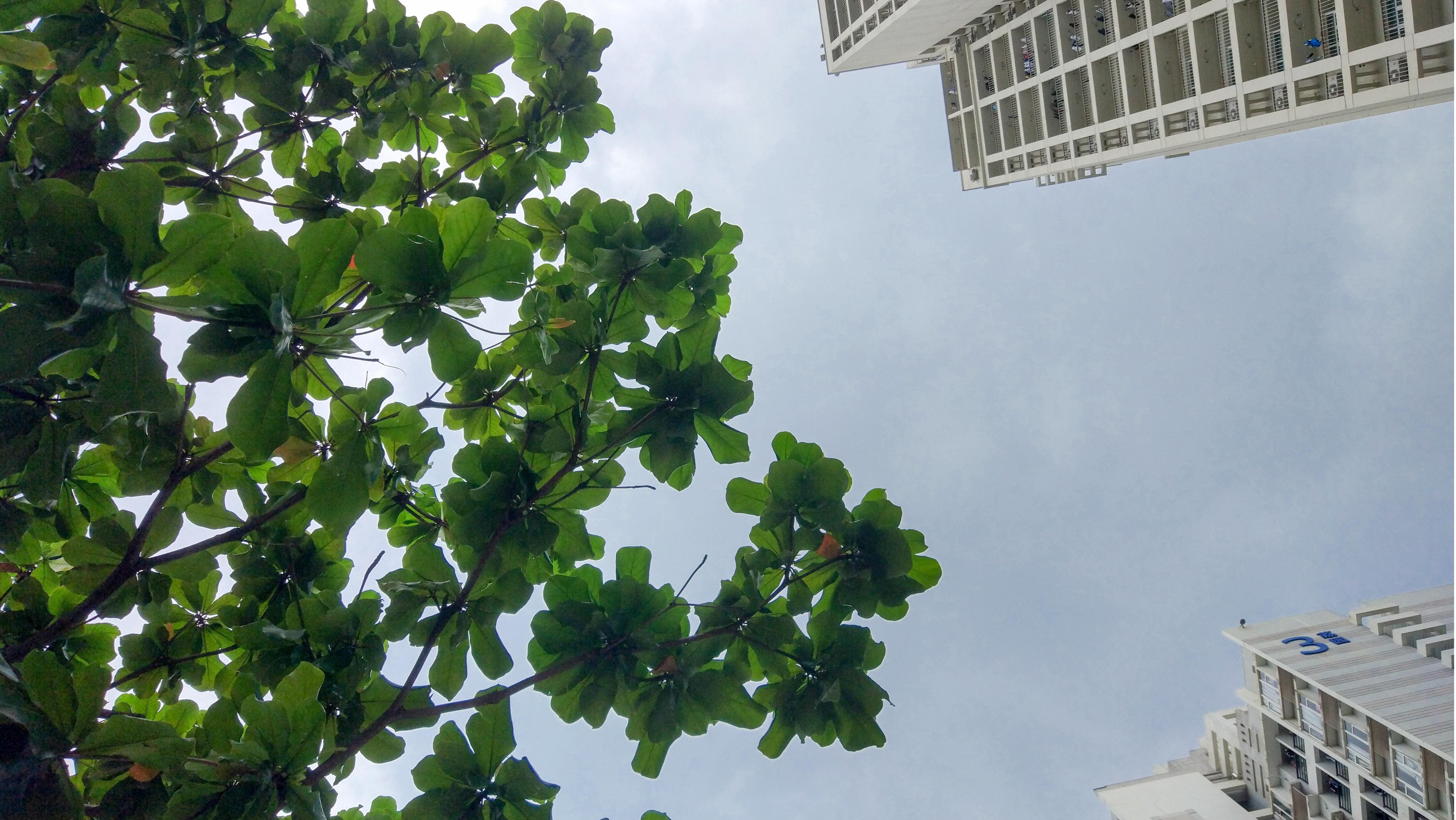 百家乐玩法介绍 - 百家乐技巧