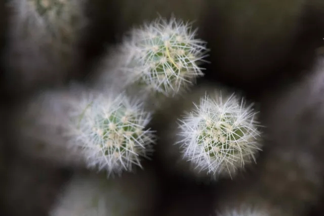 百家乐玩法介绍 - 百家乐技巧