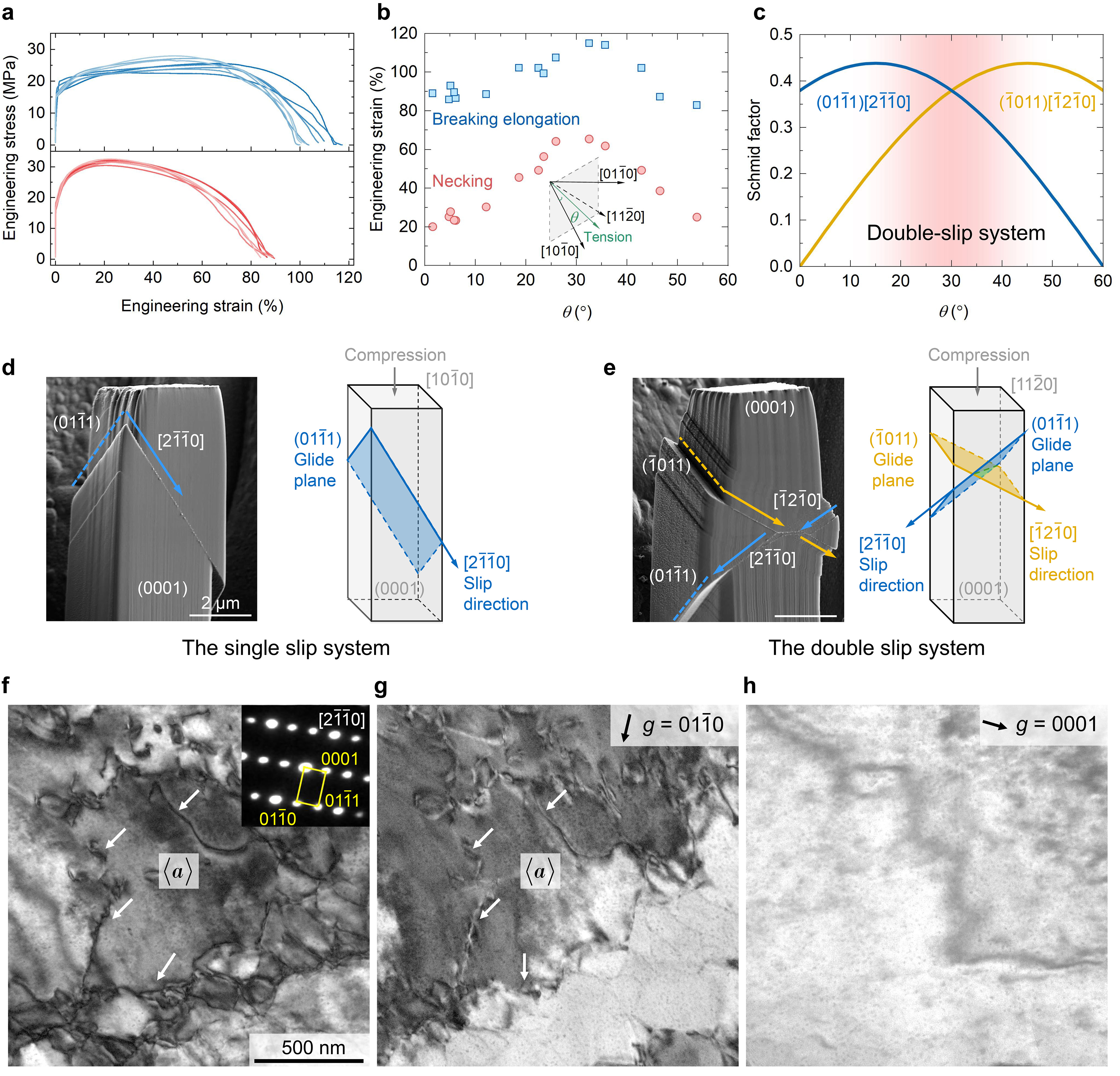 1763450279473073793.jpg 百家乐玩法介绍 - 百家乐技巧